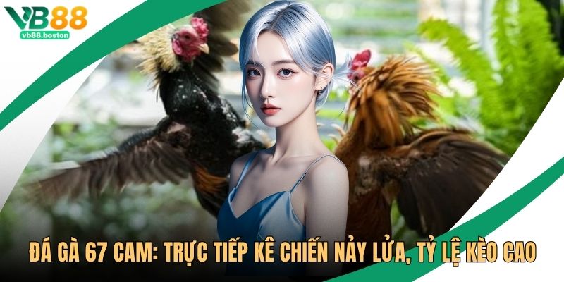 Đá Gà 67 Cam